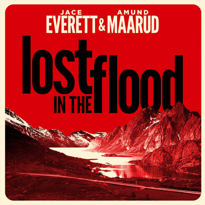 lost in the flood album cover